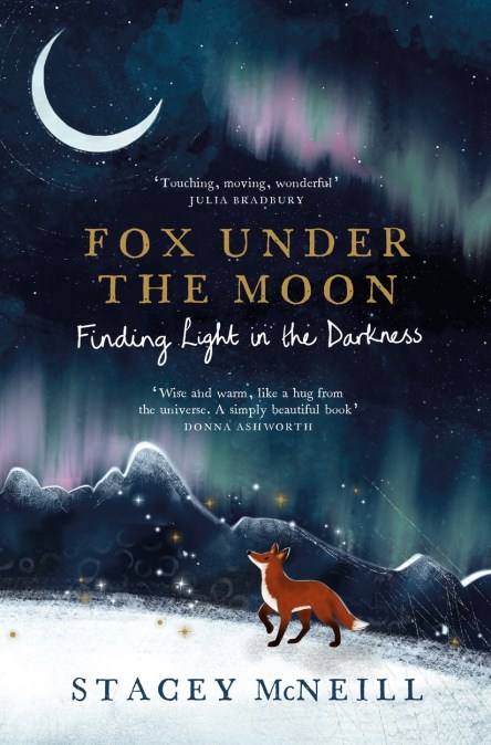 Fox Under the Moon: Finding Light in the Darkness